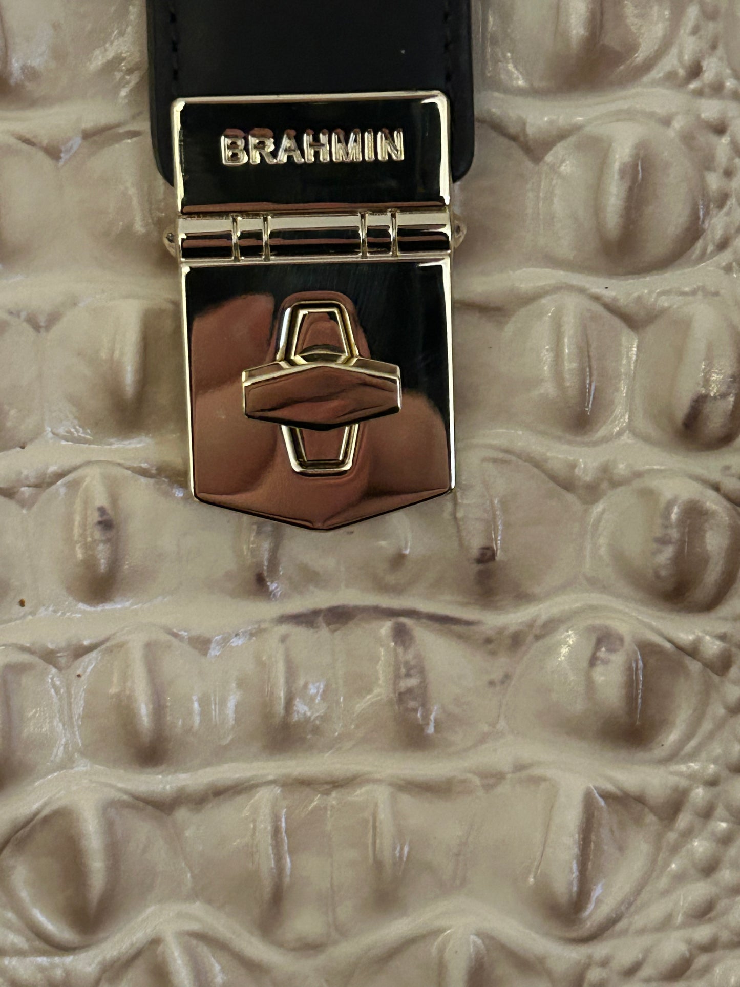 Brahmin Elisa Shoulder Bag in Blossom Kendall