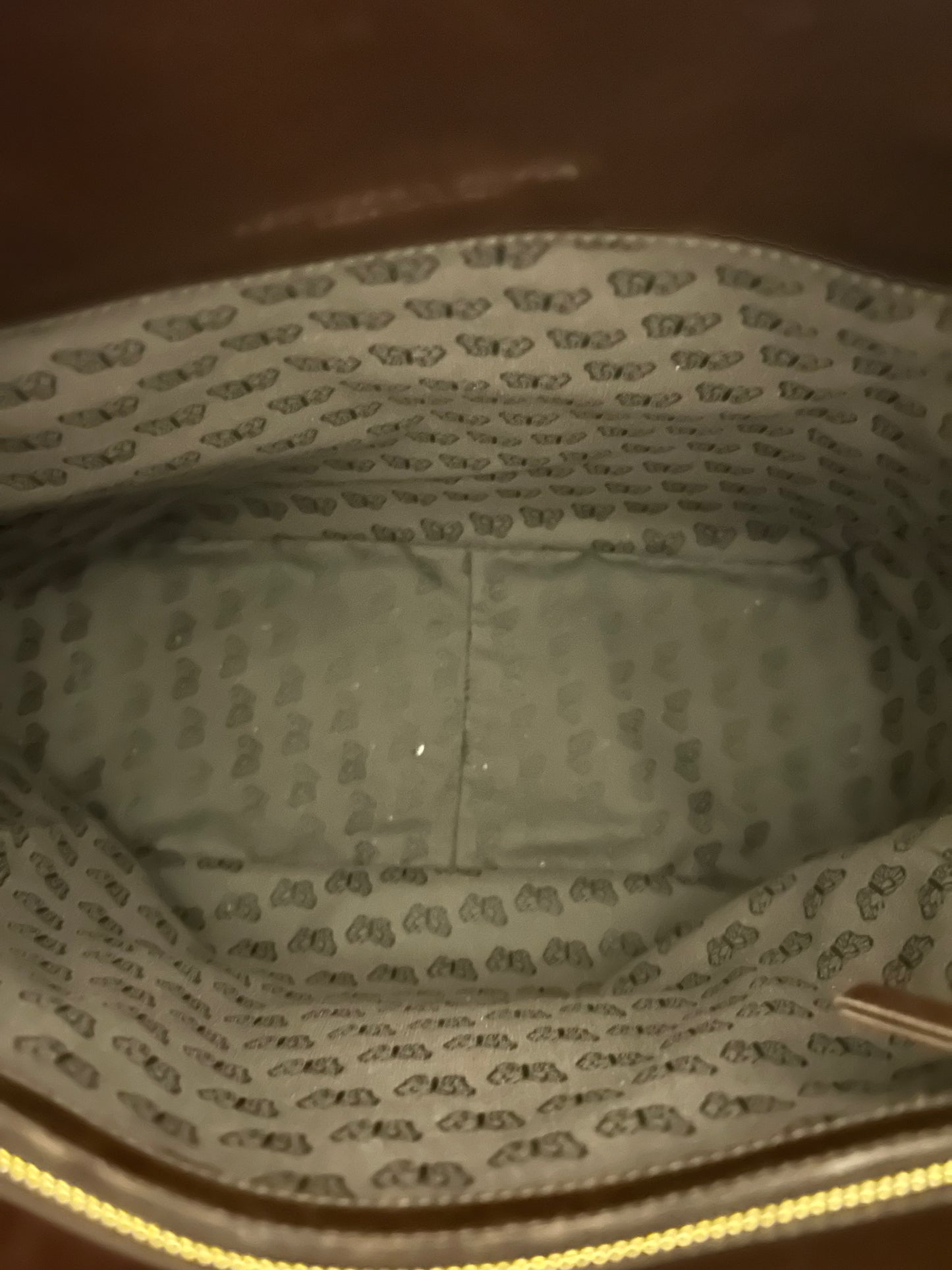 Bottega Veneta Butterfly Tote