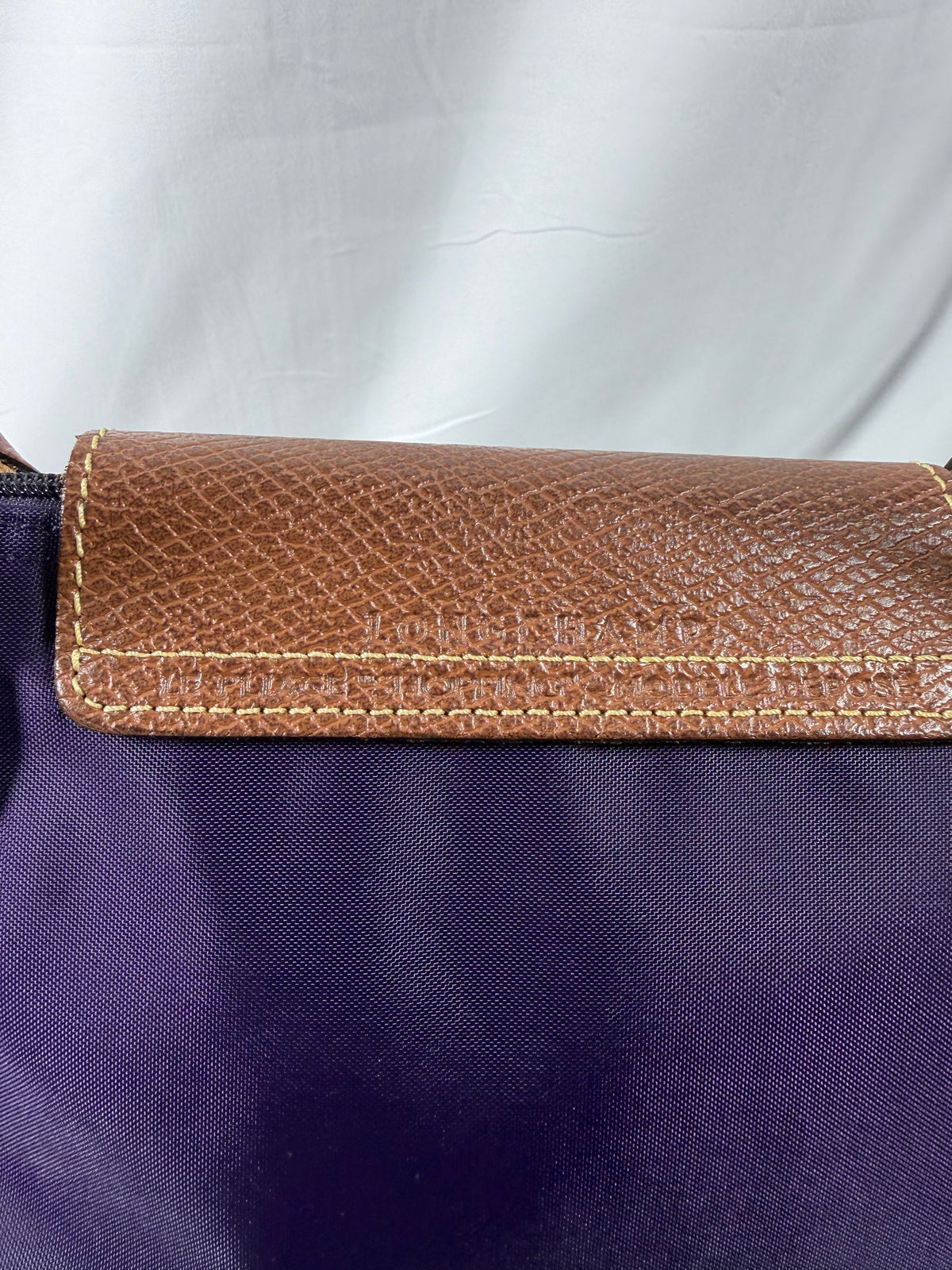 Longchamp Navy Blue/Purple Le Pliage Tote Bag